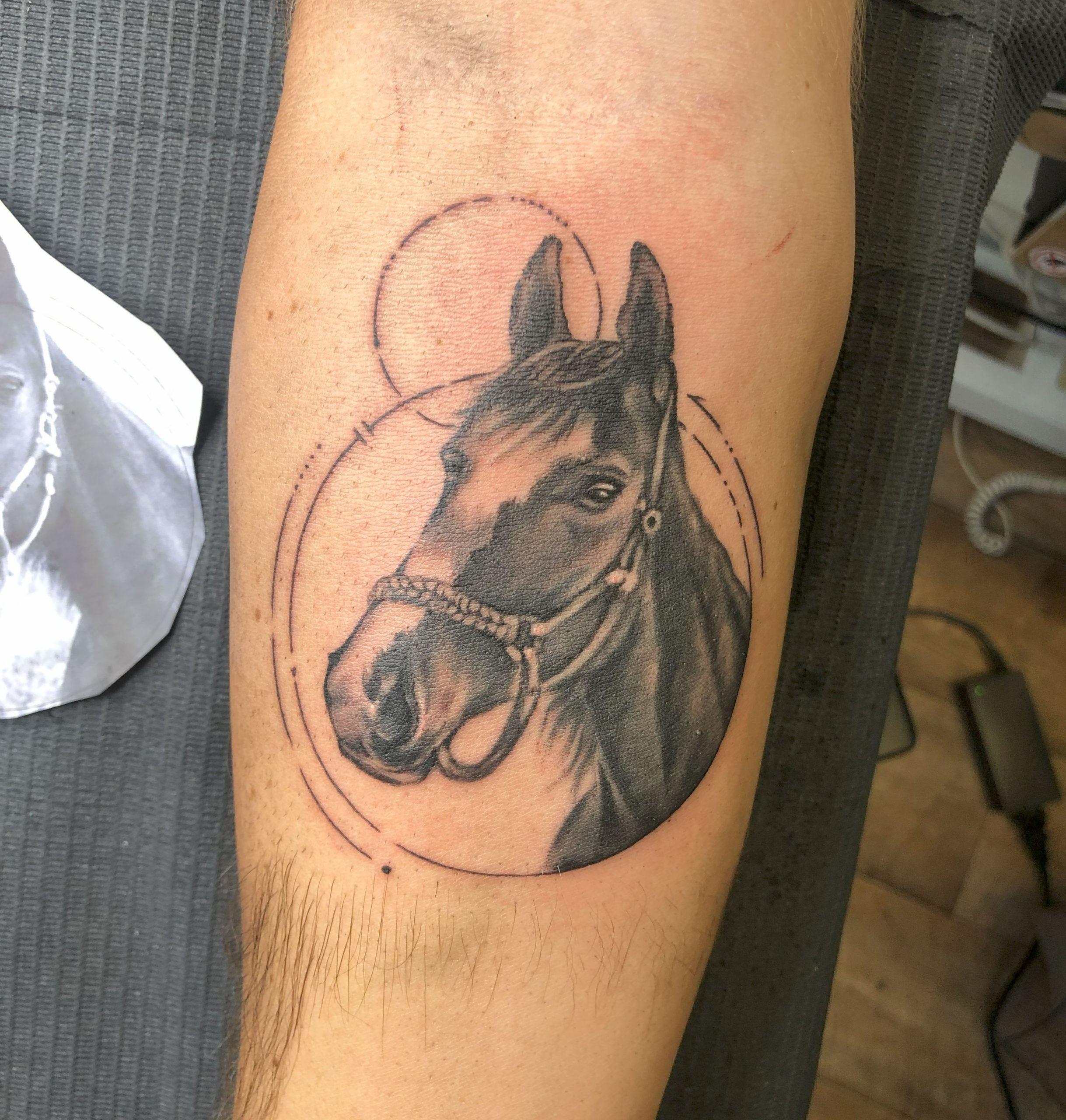 microrealistic tattoo pferd, gestochen in  Düsseldorf