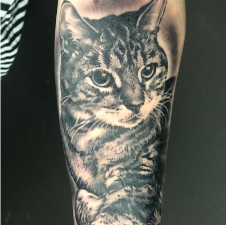 Katze Tierportrait Tattoo, gestochen in Düsseldorf