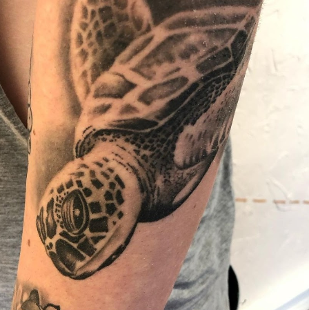 Schildkröte Tierportrait Tattoo, gestochen in Düsseldorf