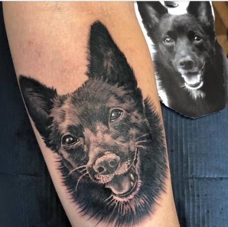 schwarzer Hund Tierportrait Tattoo, gestochen in Düsseldorf